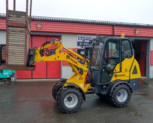 lastare rental